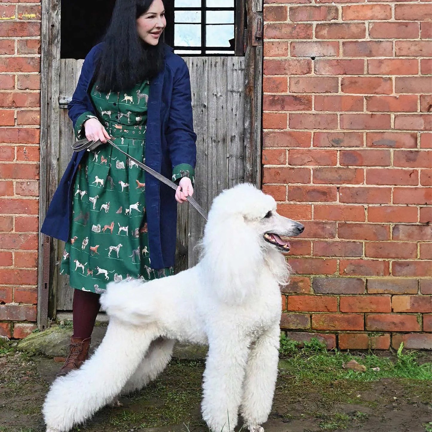 cynthia/porcelain dogs/green