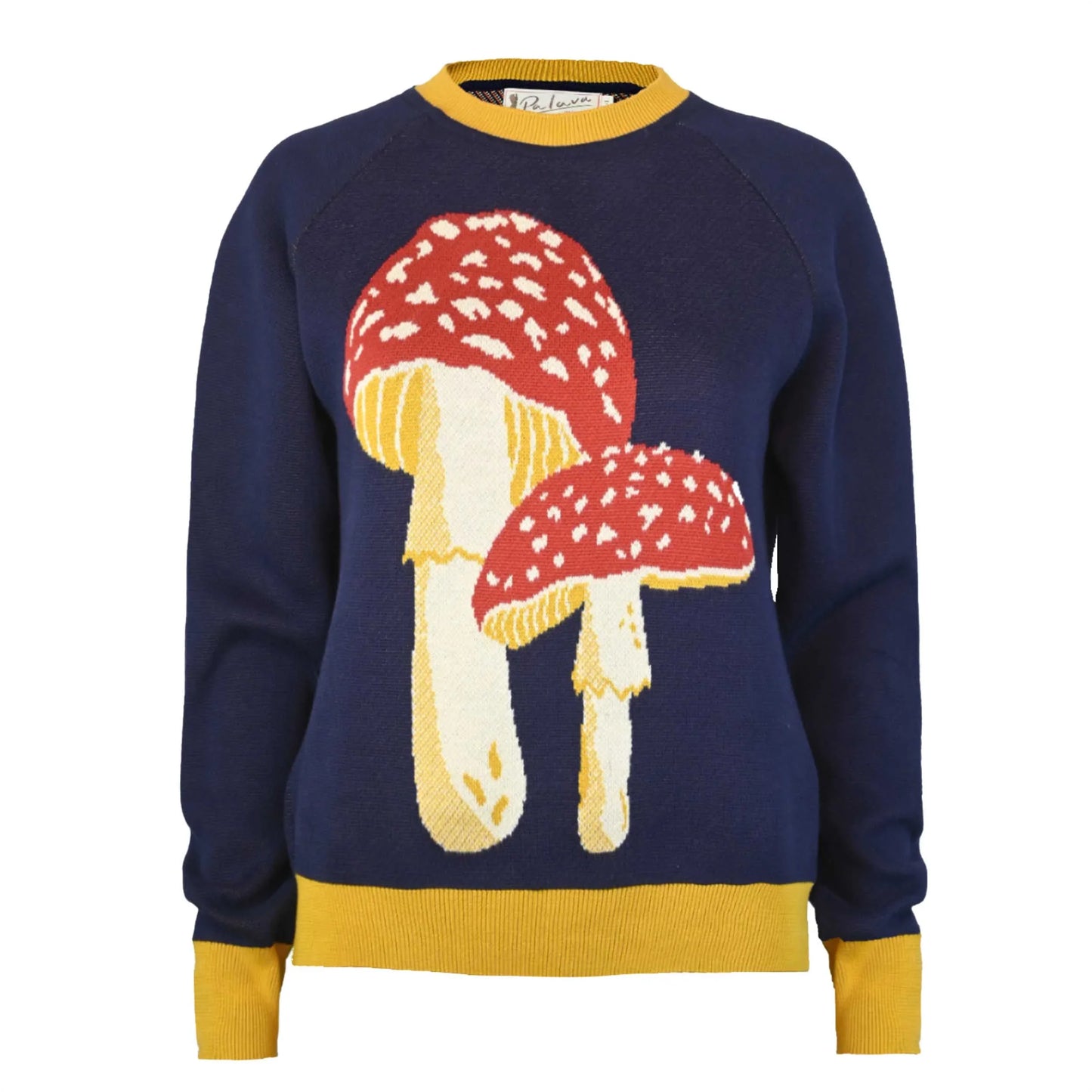 fred/mushroom/navy