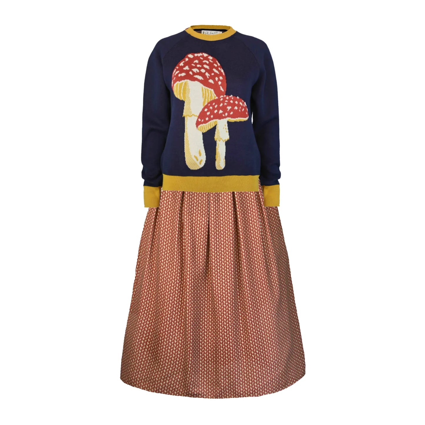 fred/mushroom/navy