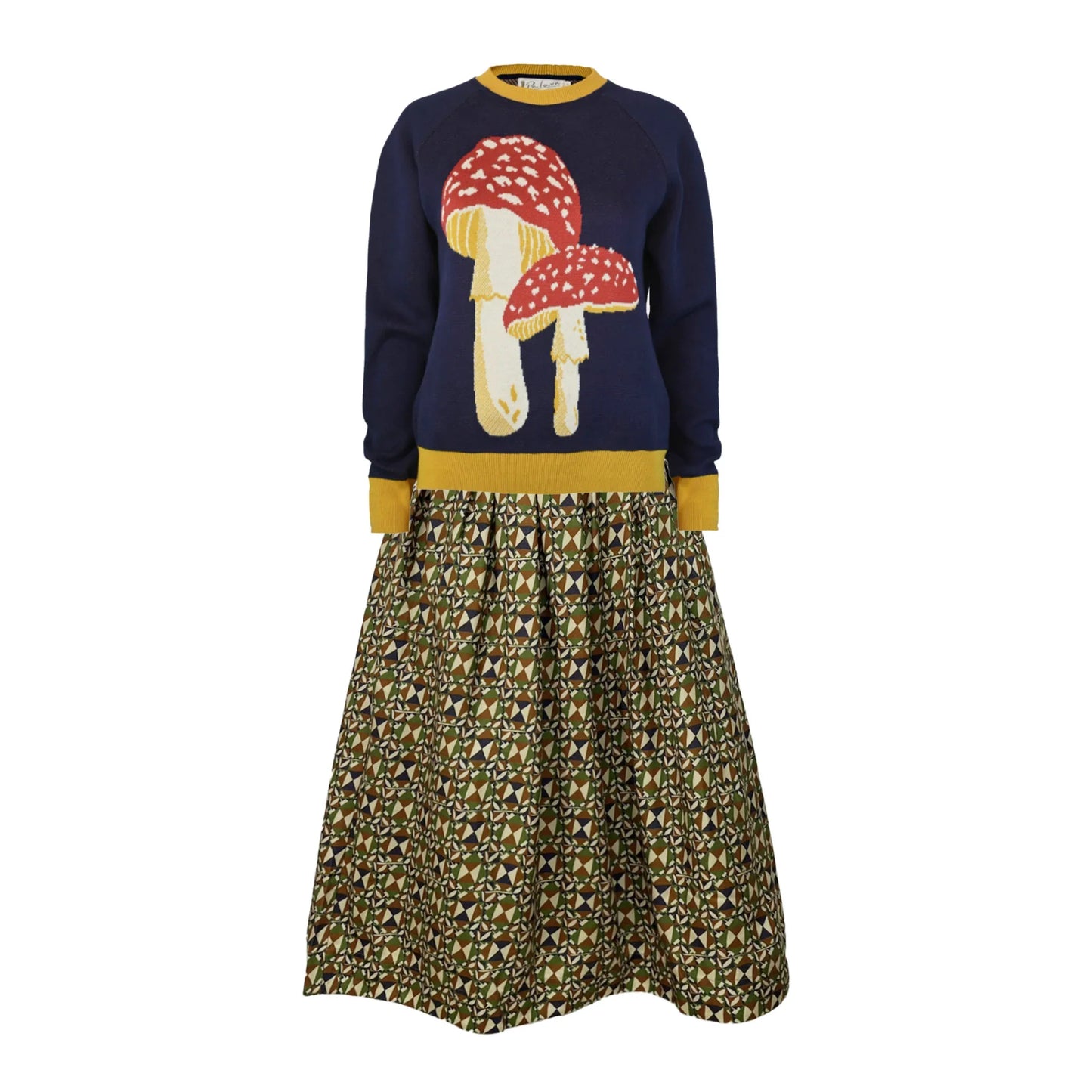 fred/mushroom/navy