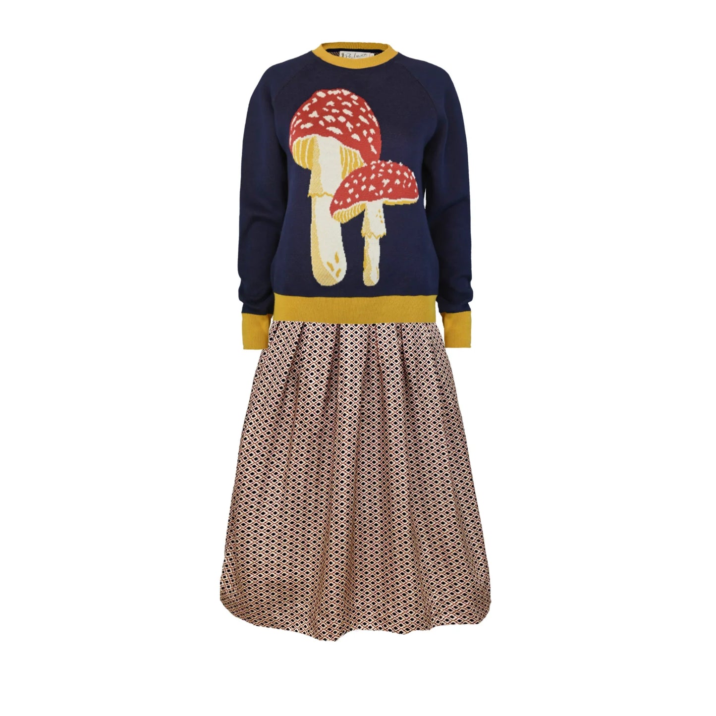 fred/mushroom/navy