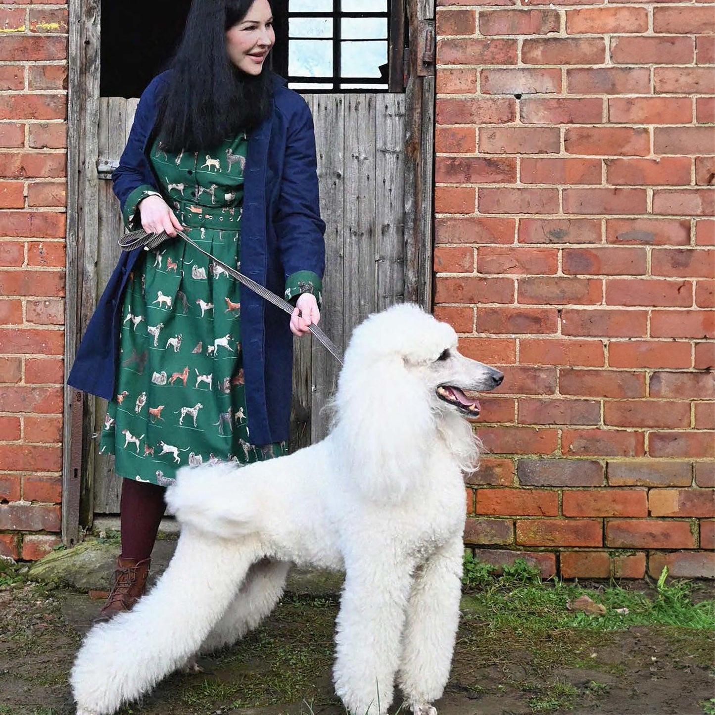 cynthia/porcelain dogs/green