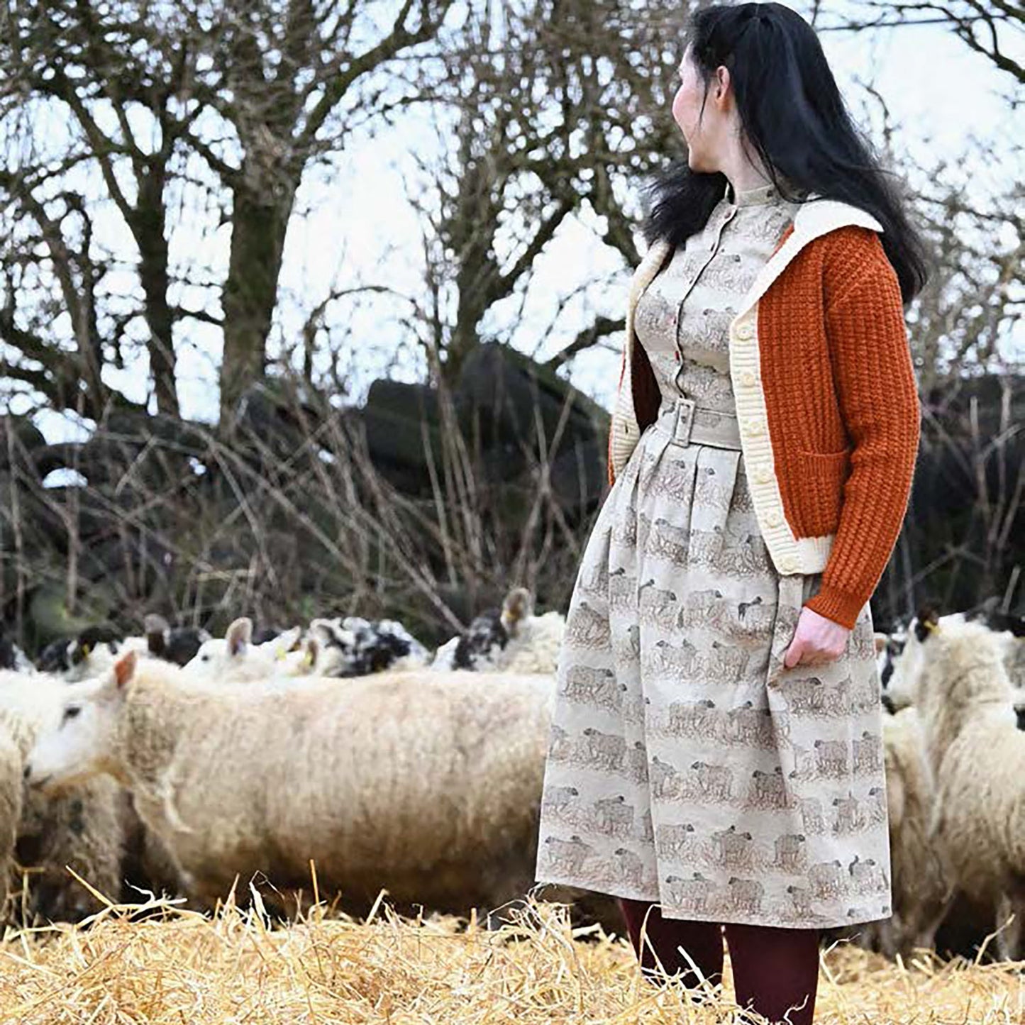 cynthia/sheep/natural