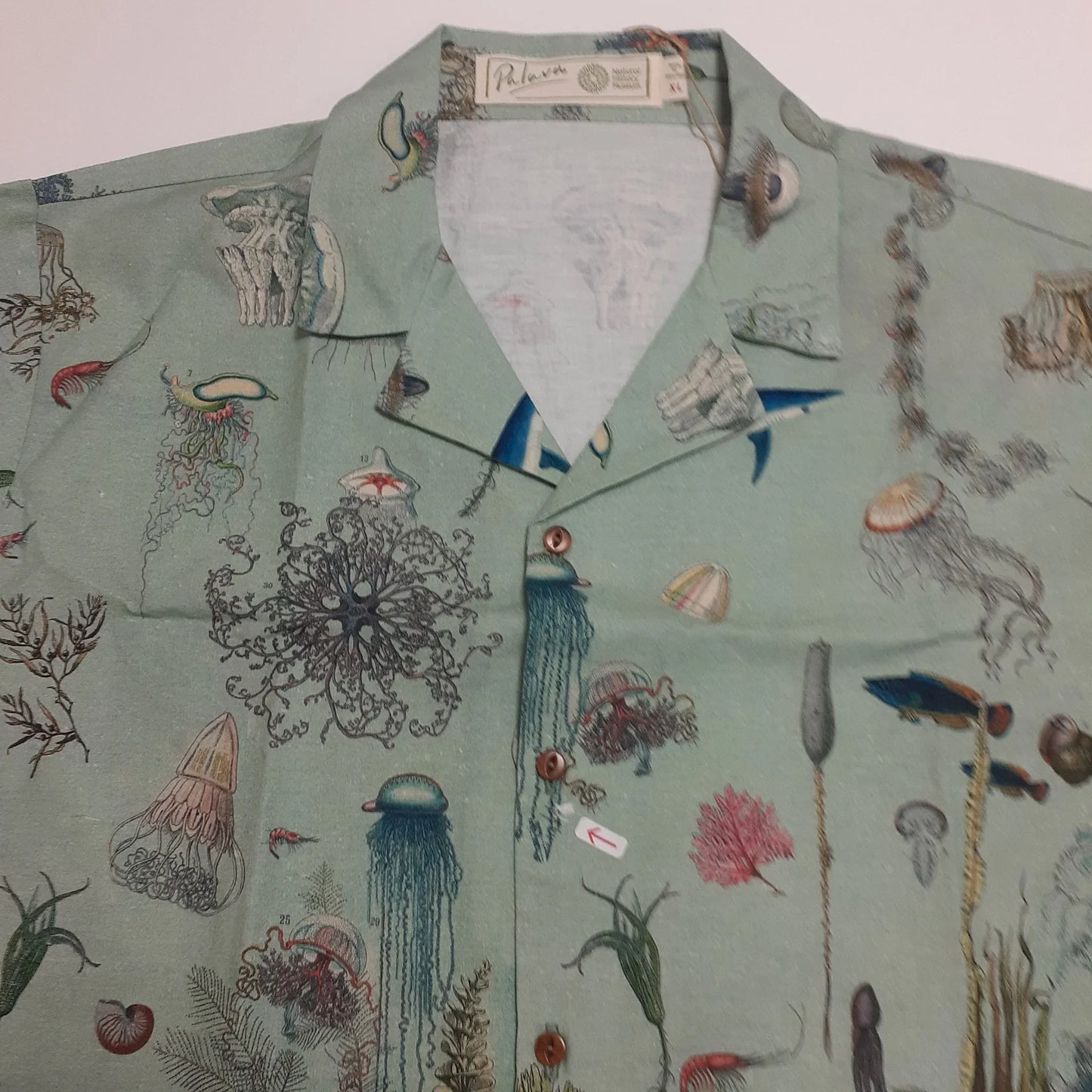 40% OFF! Kit/ocean jellyfish-NHM collaboration/XL
