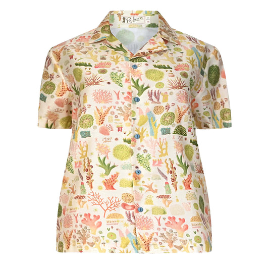 kit/coral reef-NHM collaboration