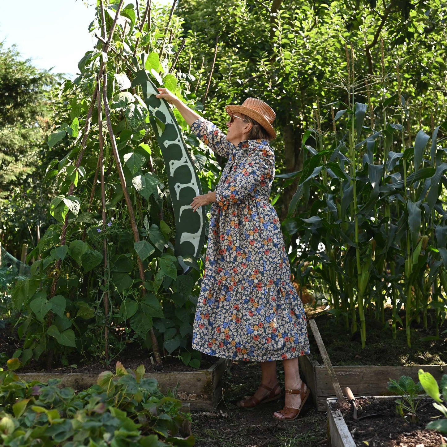 PALAVA レディース オーガニックコットン ドレス tabatha/ditsy daisy/blue