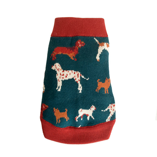 70% OFF! Dog Jumper/Teal/Woof