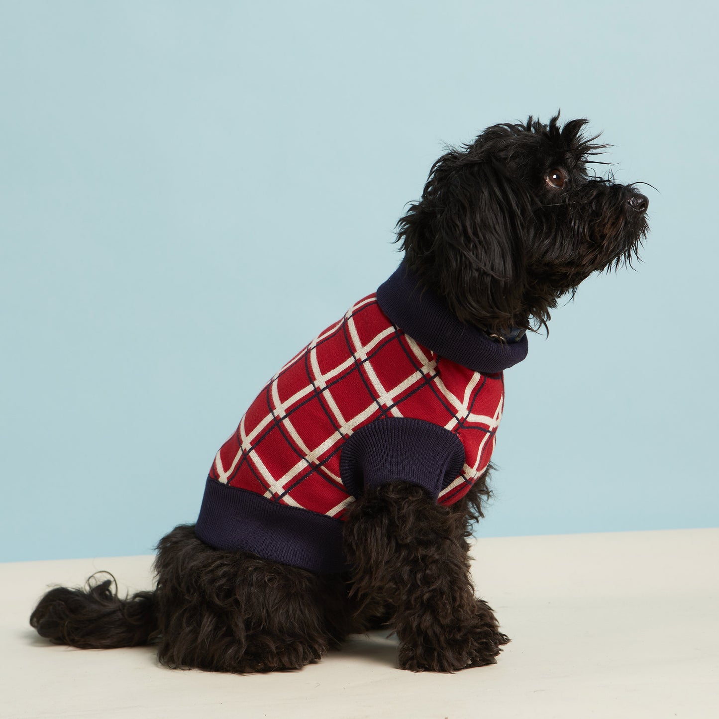 70% OFF! Dog Jumper/Red/Tuck Shop