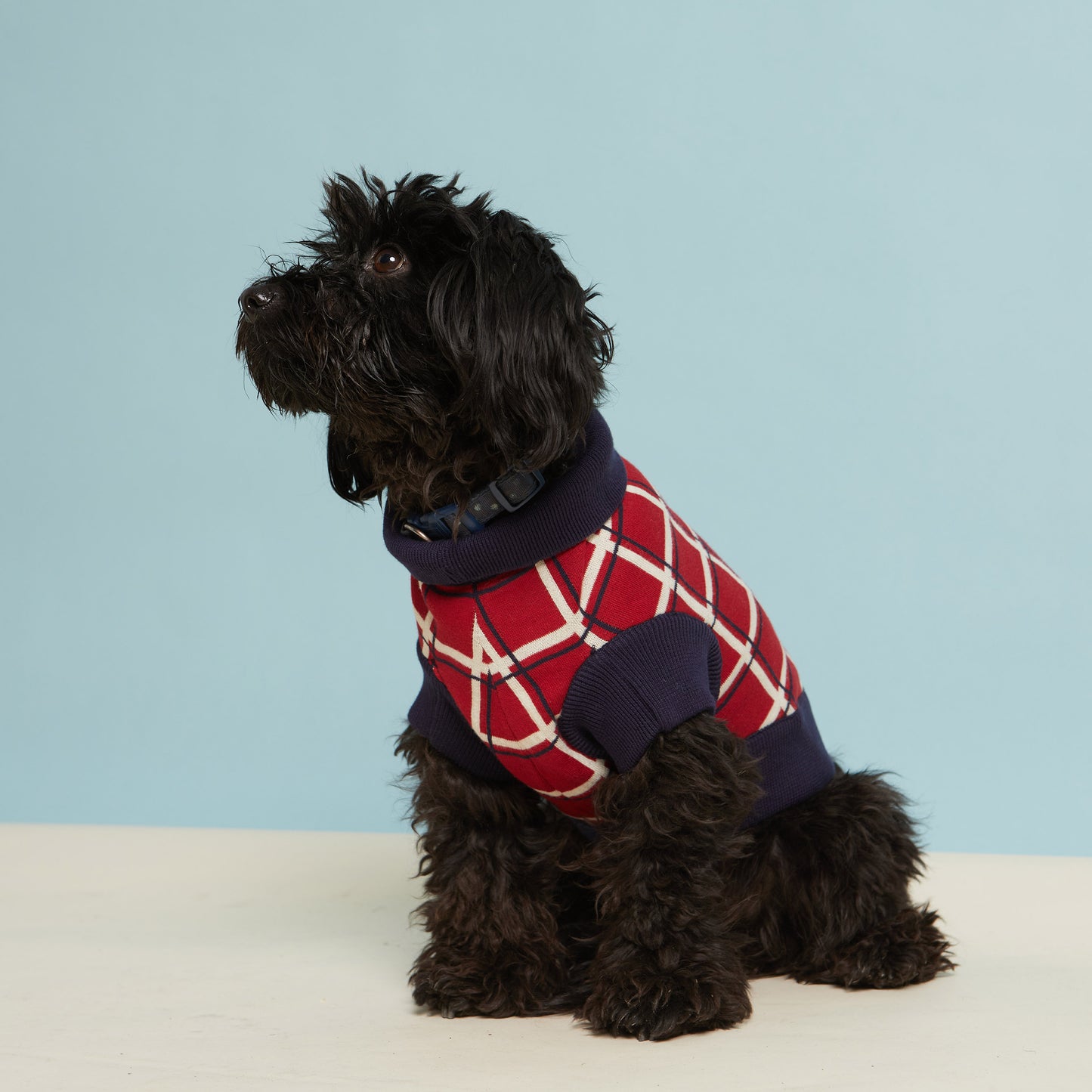 70% OFF! Dog Jumper/Red/Tuck Shop