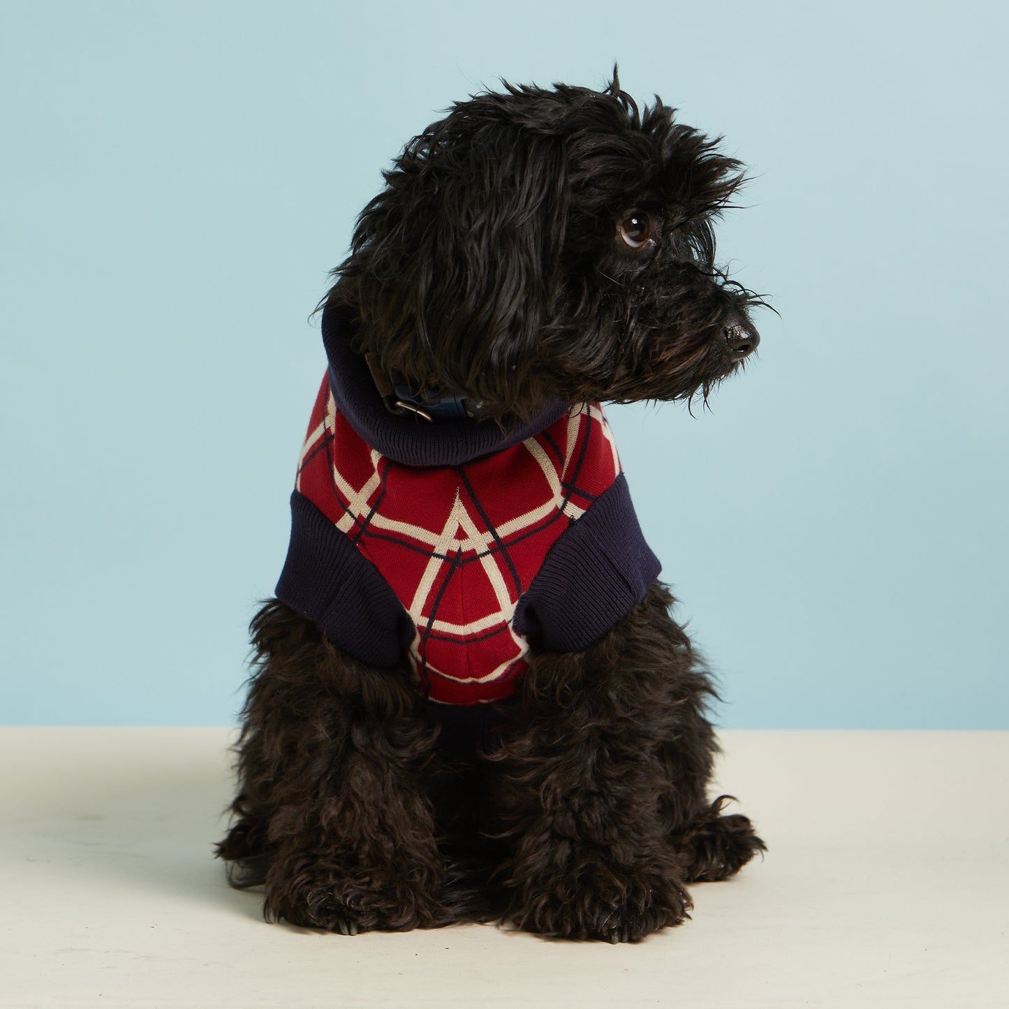 70% OFF! Dog Jumper/Red/Tuck Shop